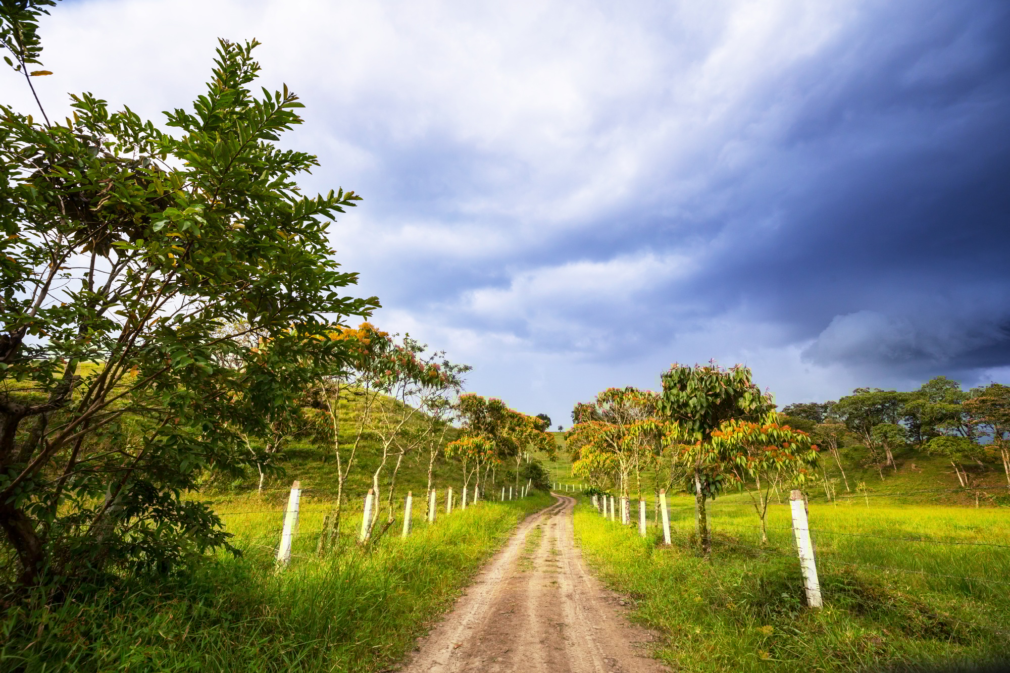 Rural road